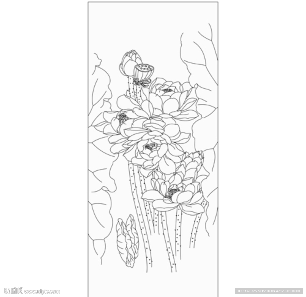 荷花
