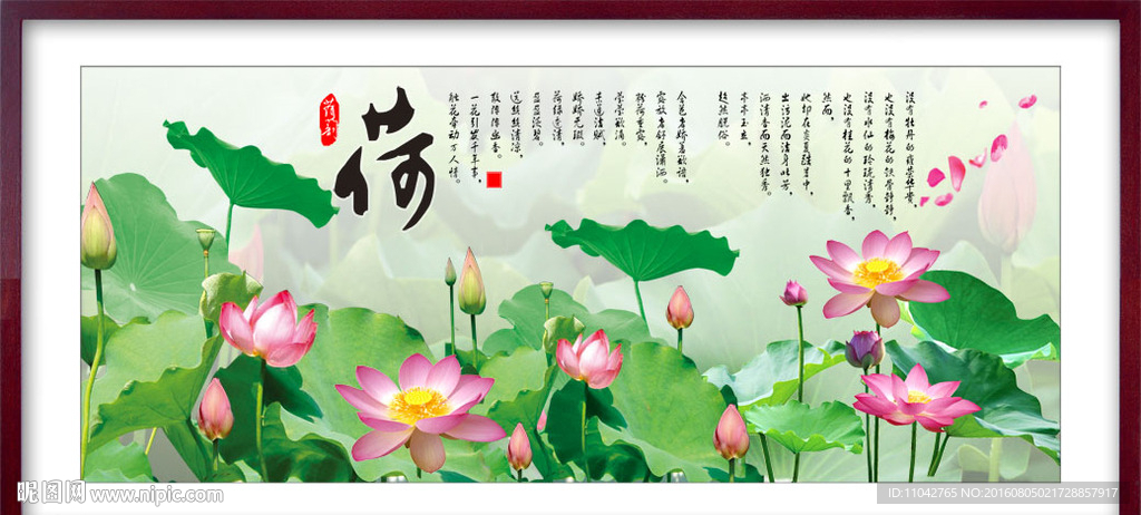 荷花