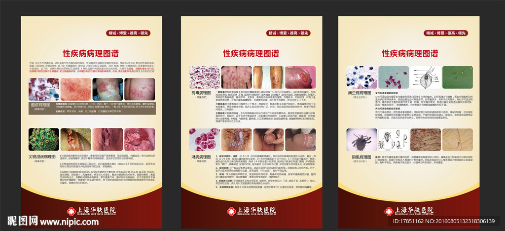 性病病理图