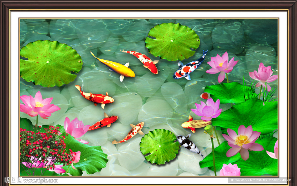 荷花鲤鱼图