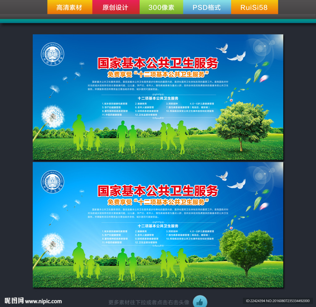 国家基本公共卫生服务