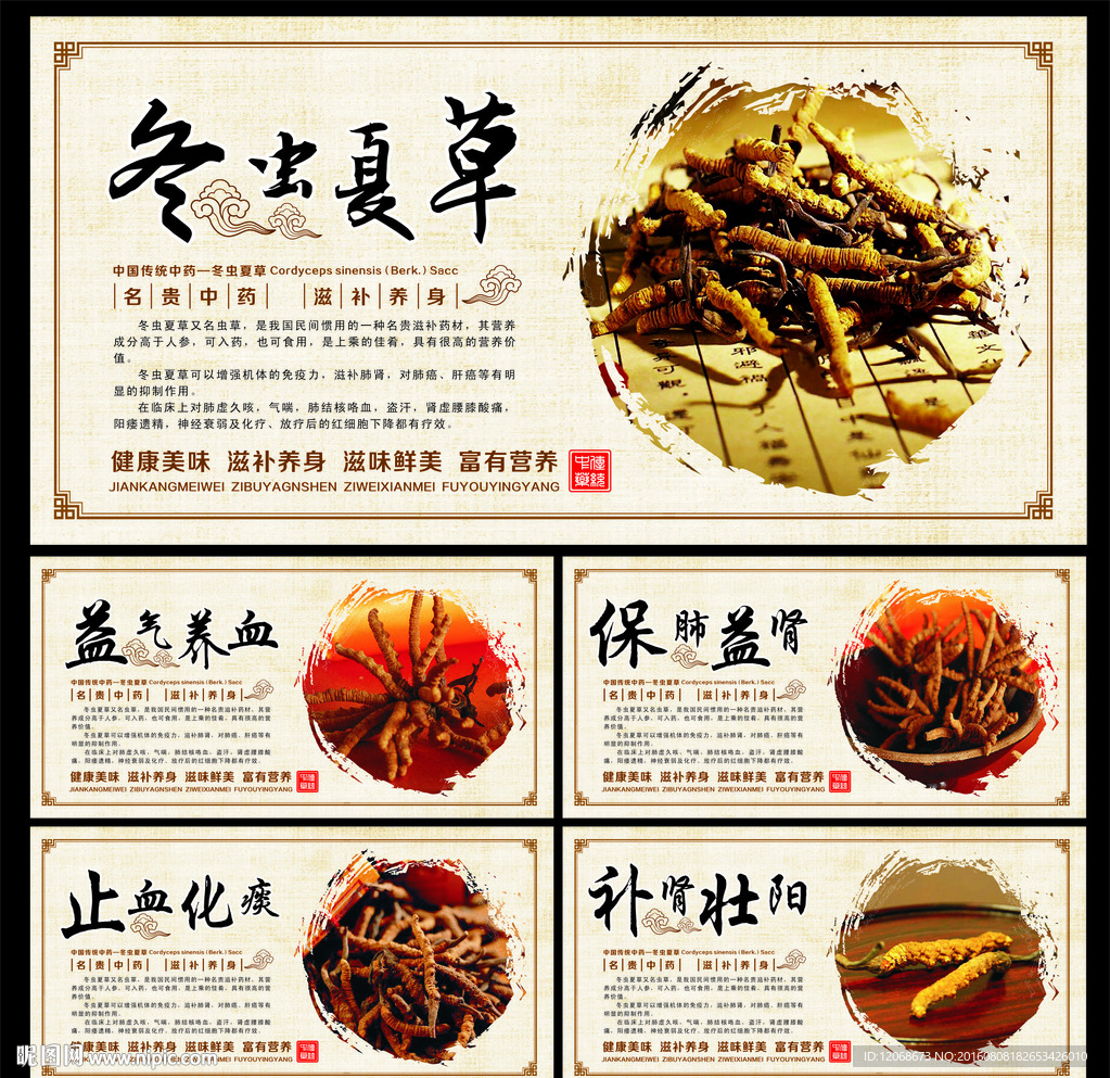 冬虫夏草 传统中药