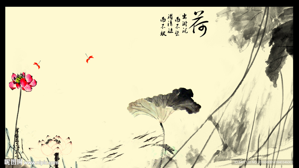 国画荷花
