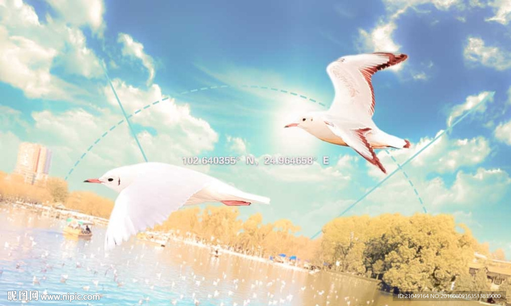 水粉- 昆明翠湖公园红嘴鸥