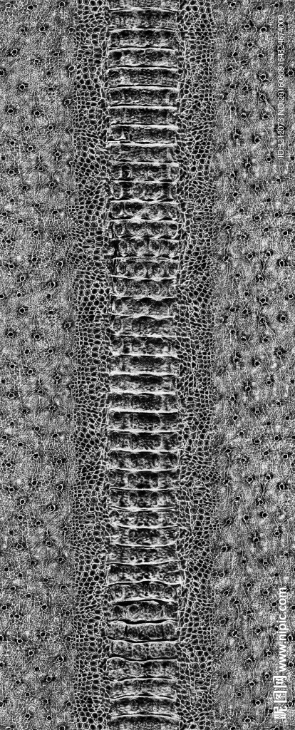 皮革 纹理 皮纹 特版 图案