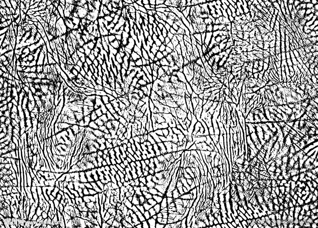 皮革 纹理 皮纹 特版 图案