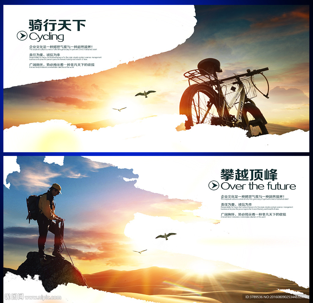 公司文化