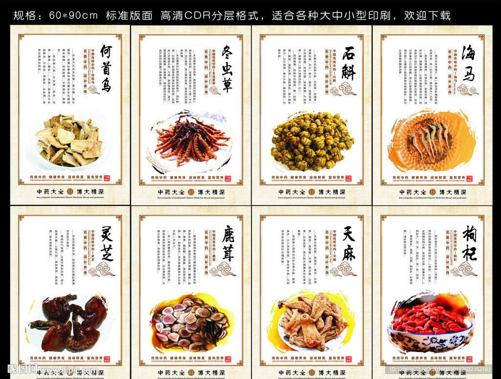 中药养生  名贵药材