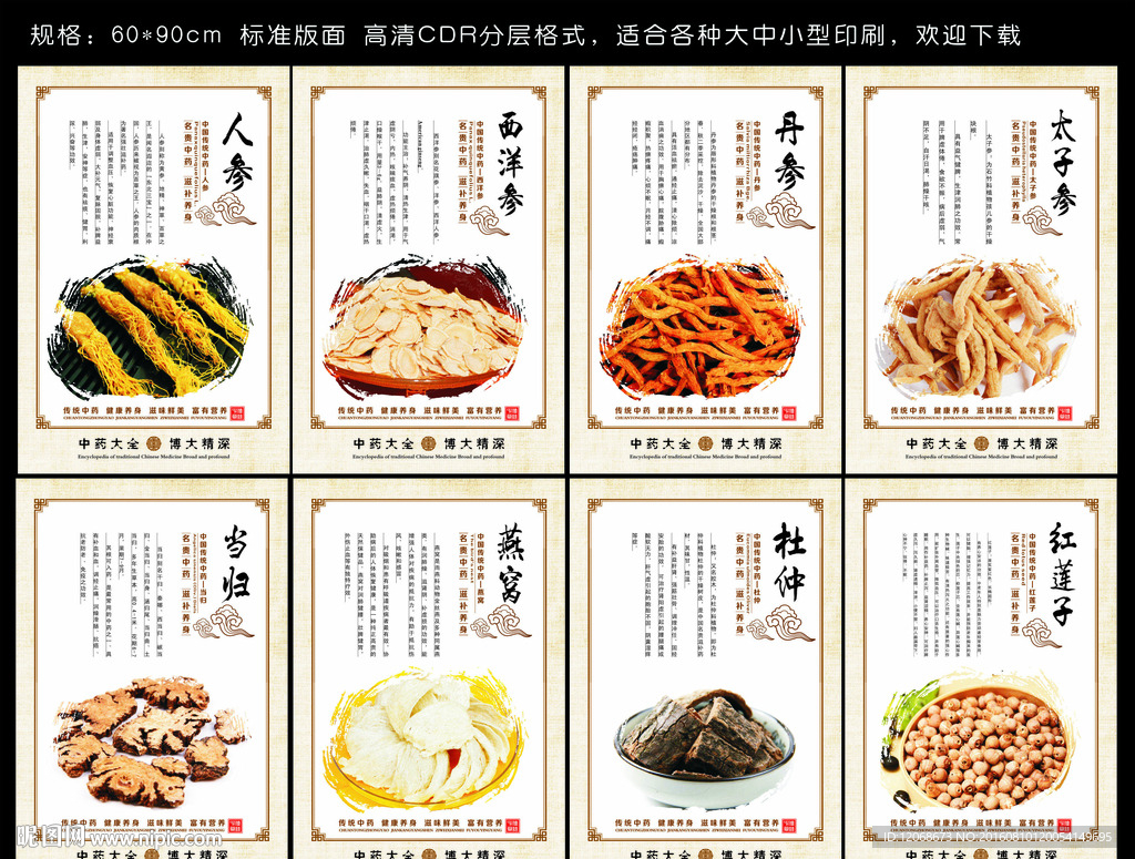 中药养生 名贵中药