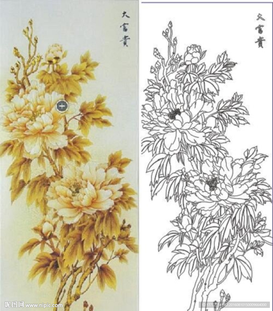 大富贵 牡丹