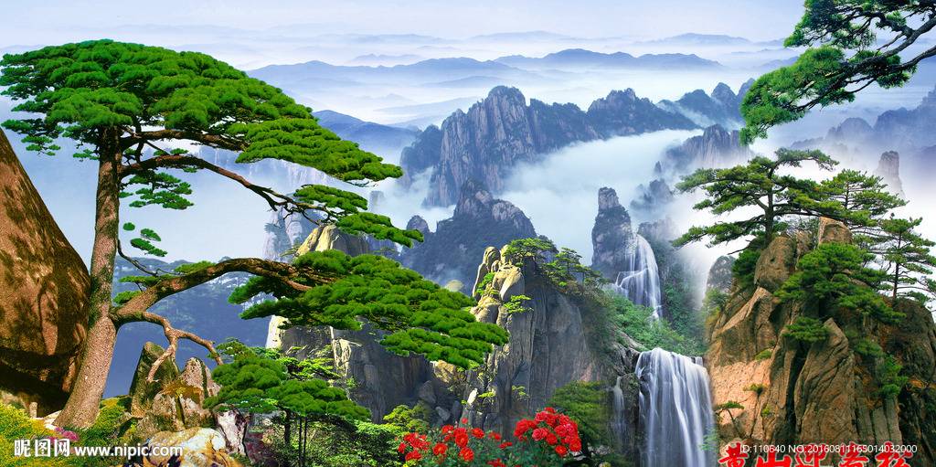 黄山迎客松