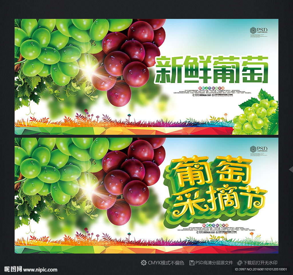 葡萄