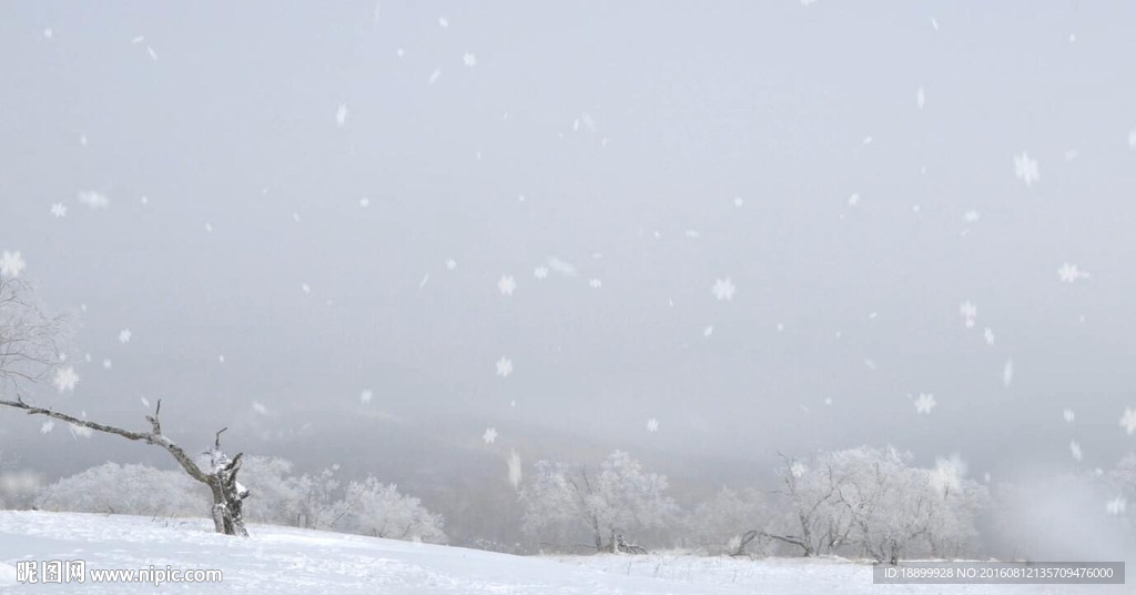 AE下雪前景素材模板