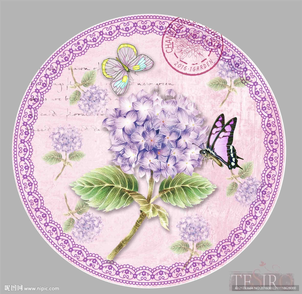 绣球花 盘花