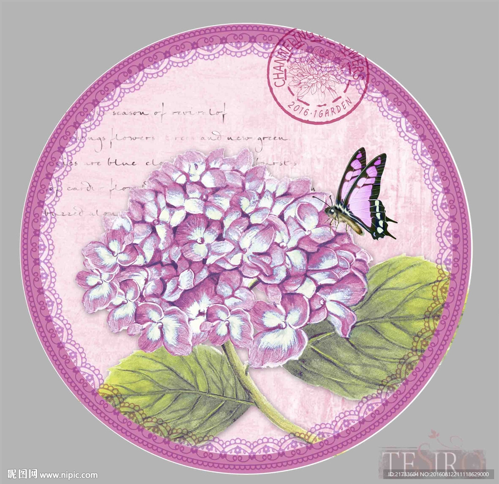 绣球花 盘花