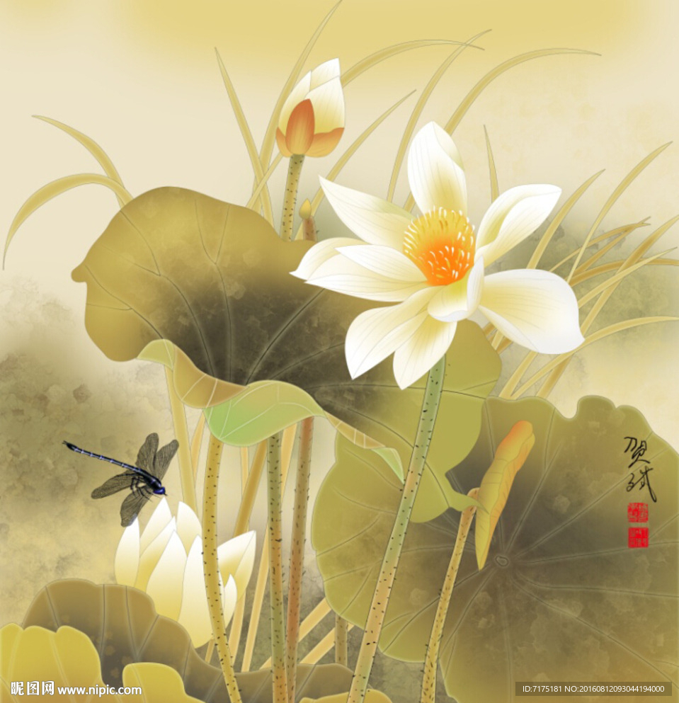 手绘荷花