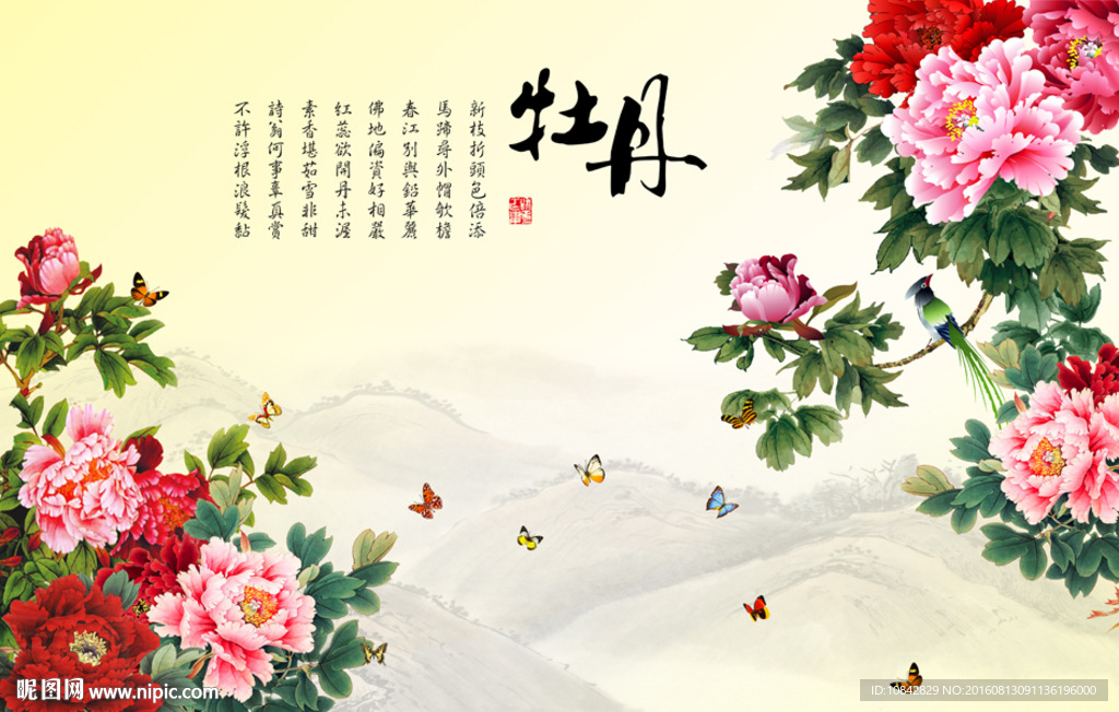 牡丹图片