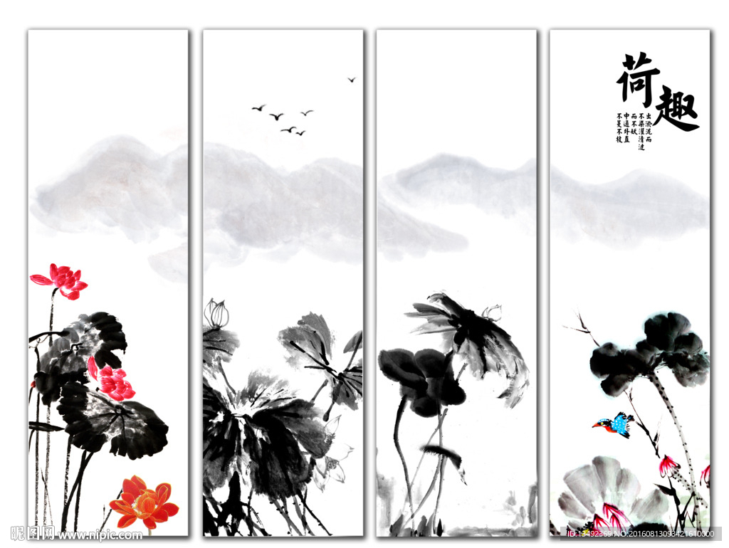 黑白荷花