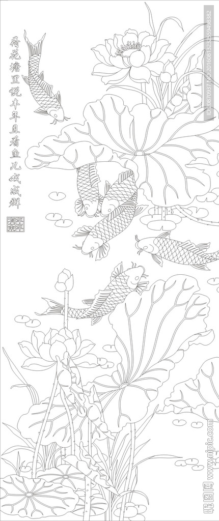 荷花鱼