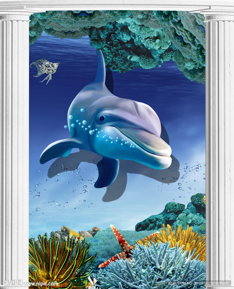 3d海豚玄关