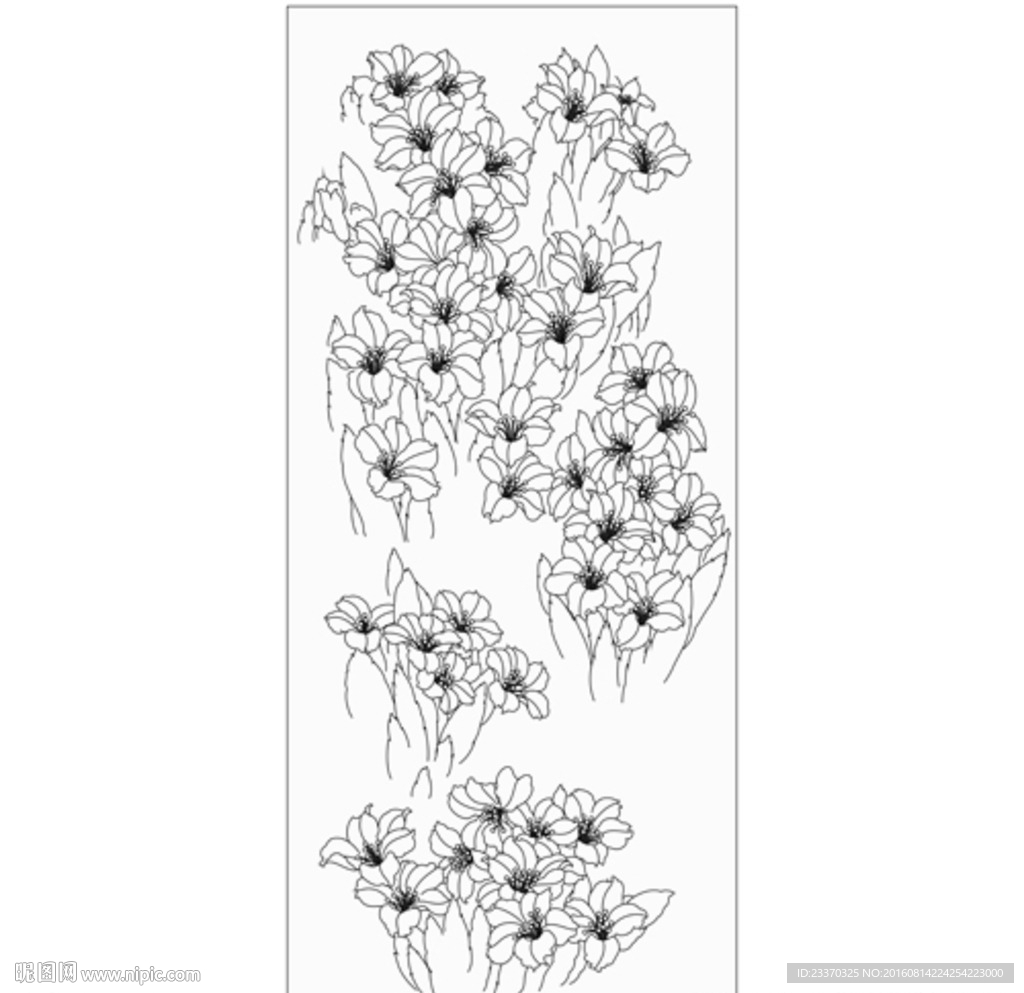 百合花