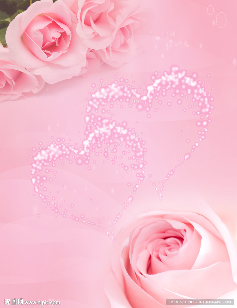 玫瑰花