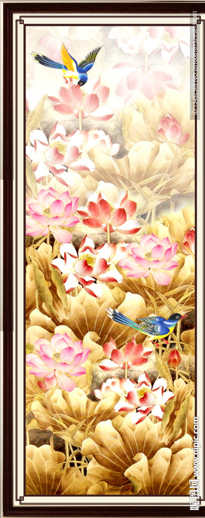 荷花