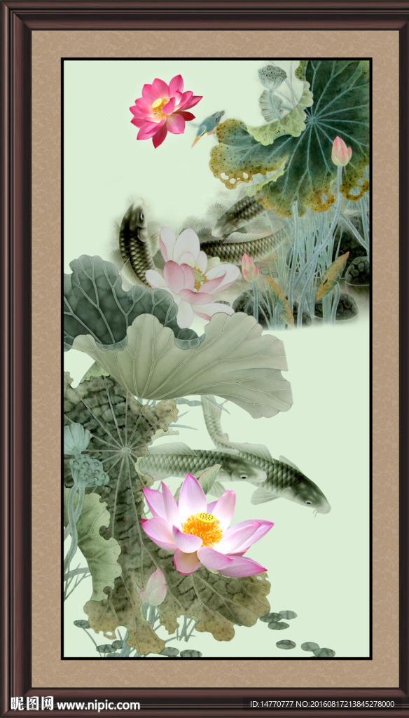 荷花鲤鱼