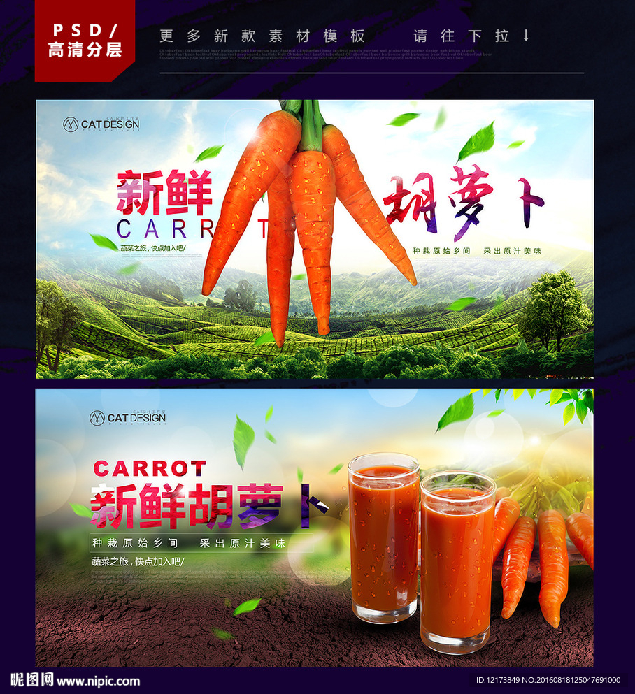 胡萝卜
