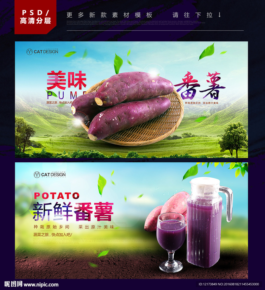 番薯 紫薯