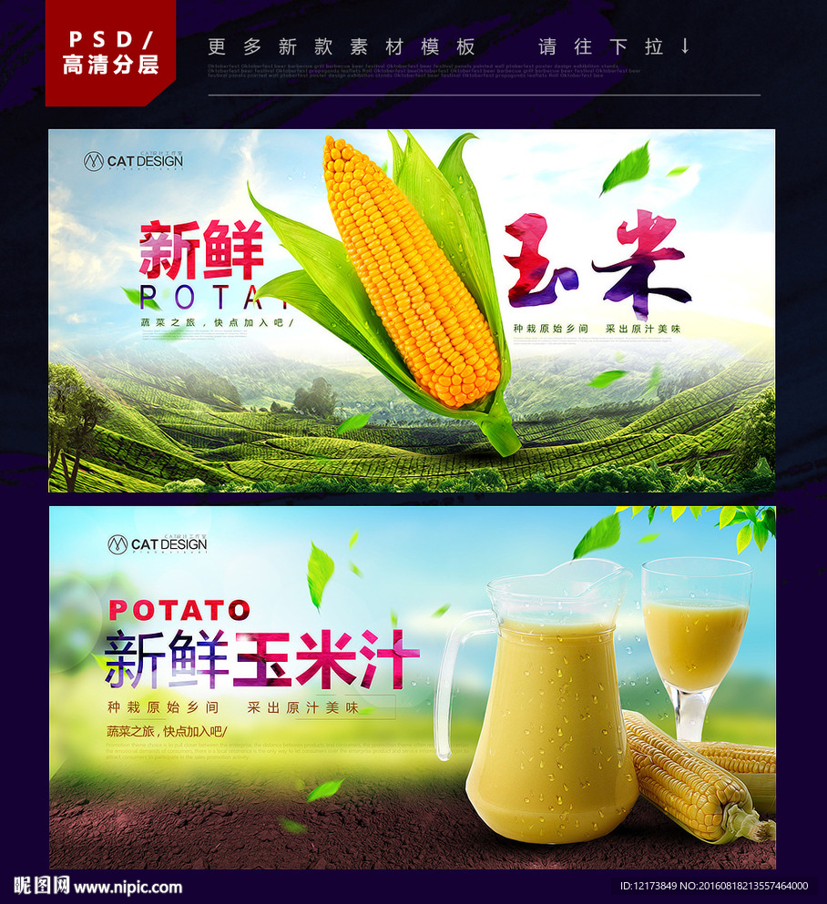 玉米