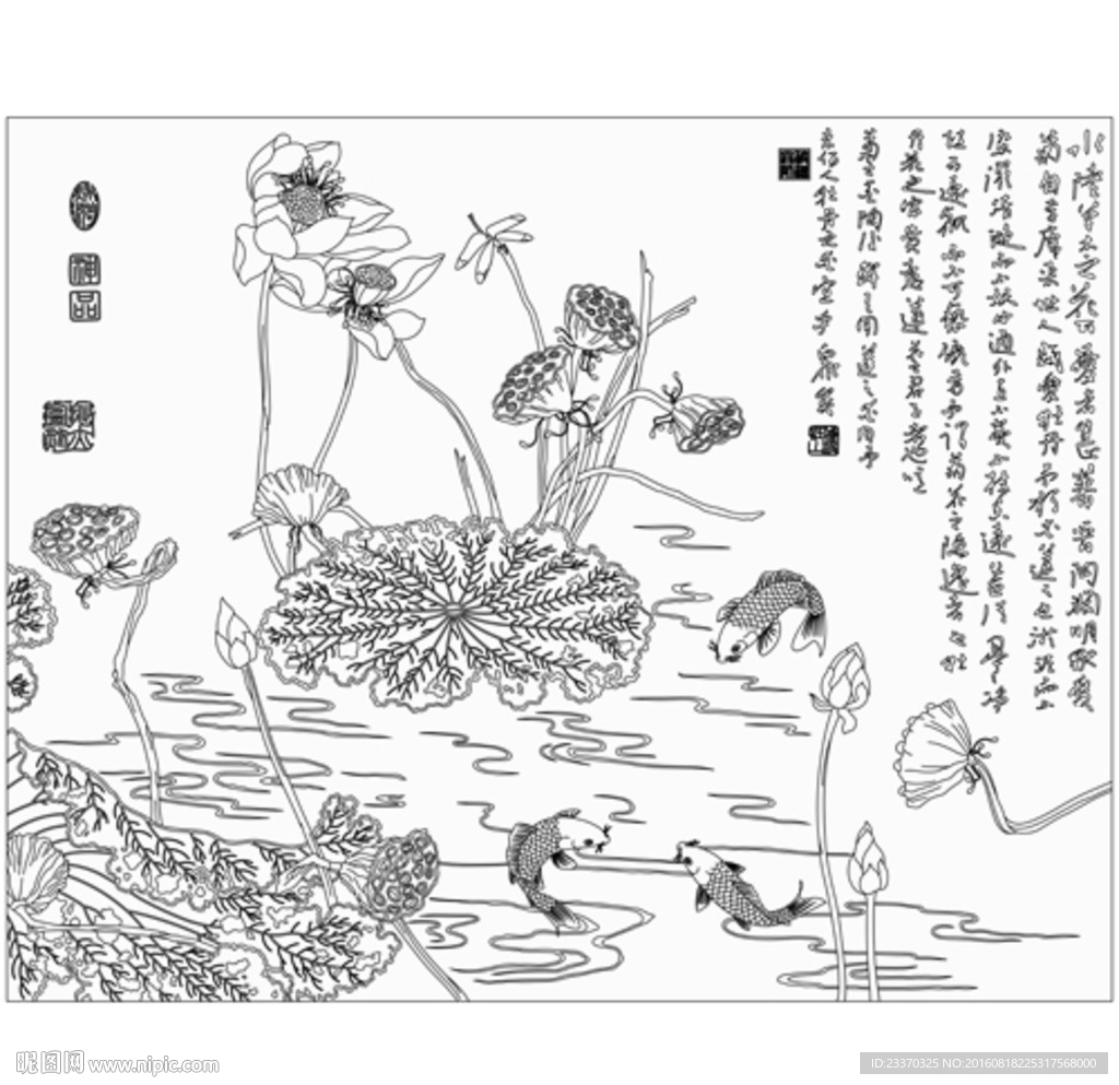 荷花鱼