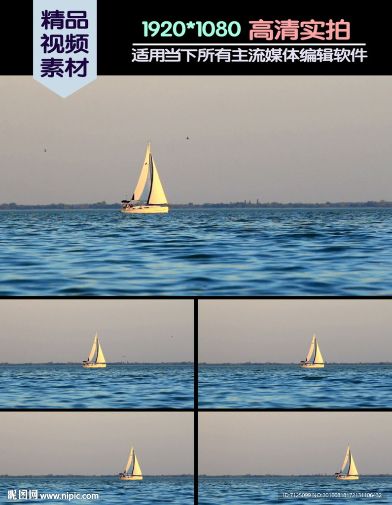 海洋帆船海鸟