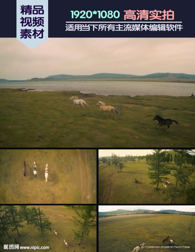 马群蒙古草原奔跑实拍素材