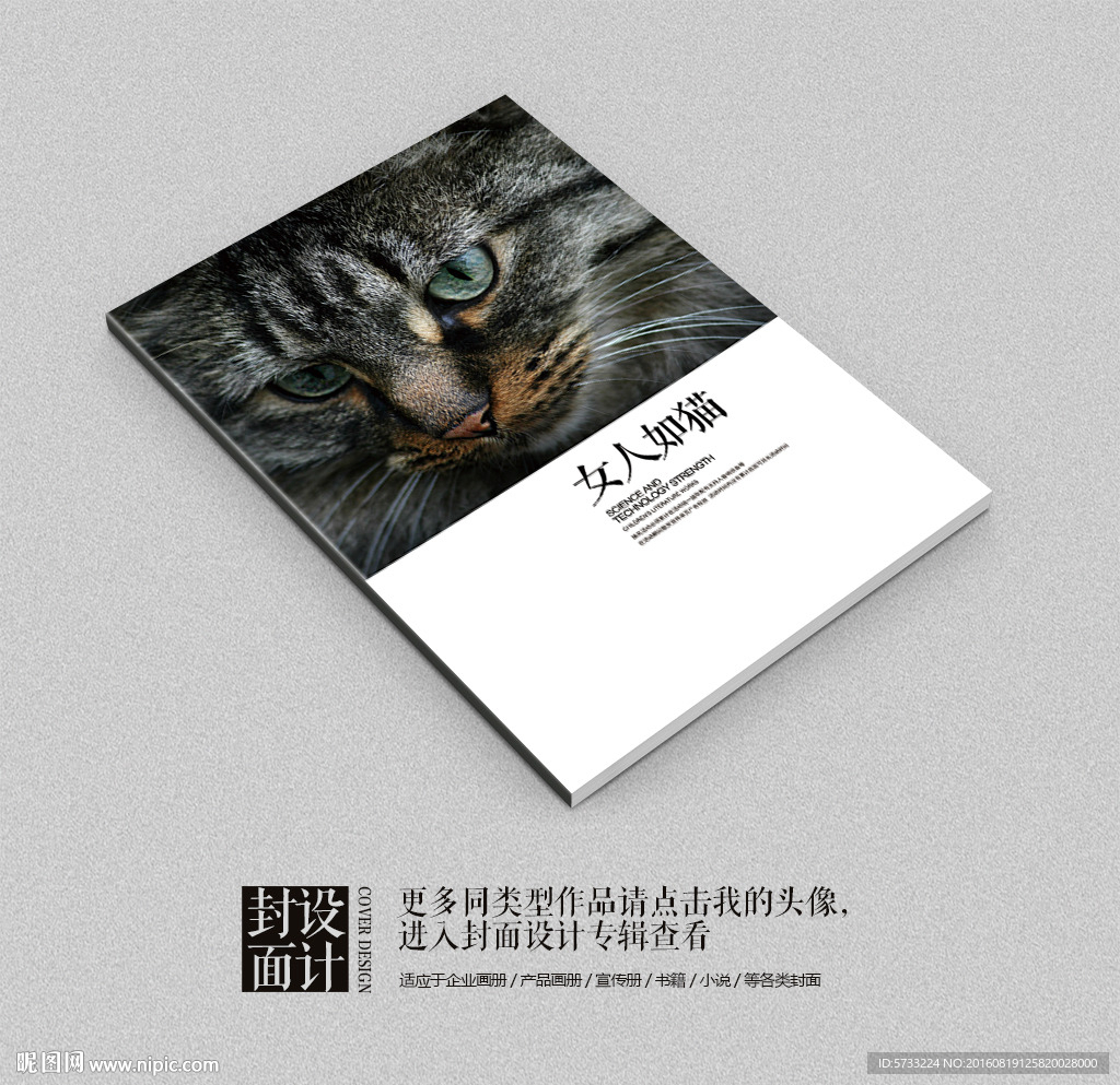 女人如猫爱情小说封面设计