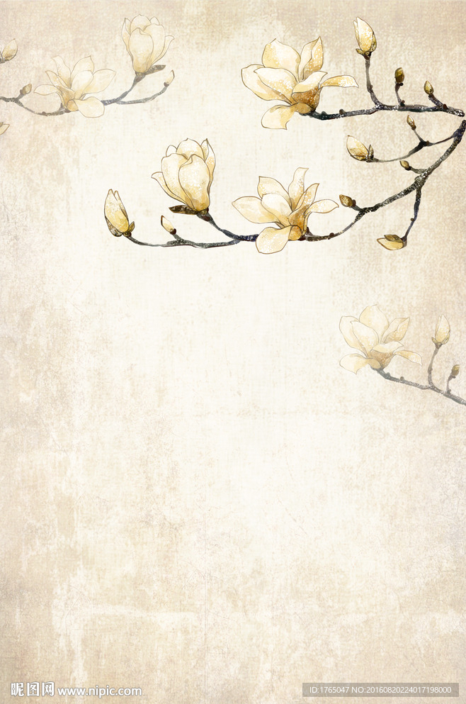 怀旧玉兰花