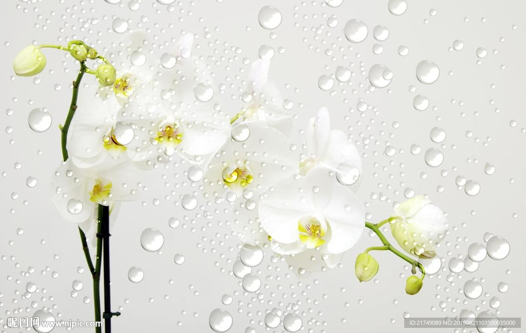 简约水珠清新绿色背景墙