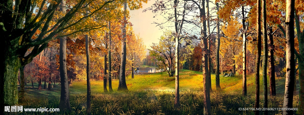 湿地公园树林黄昏建筑效果图