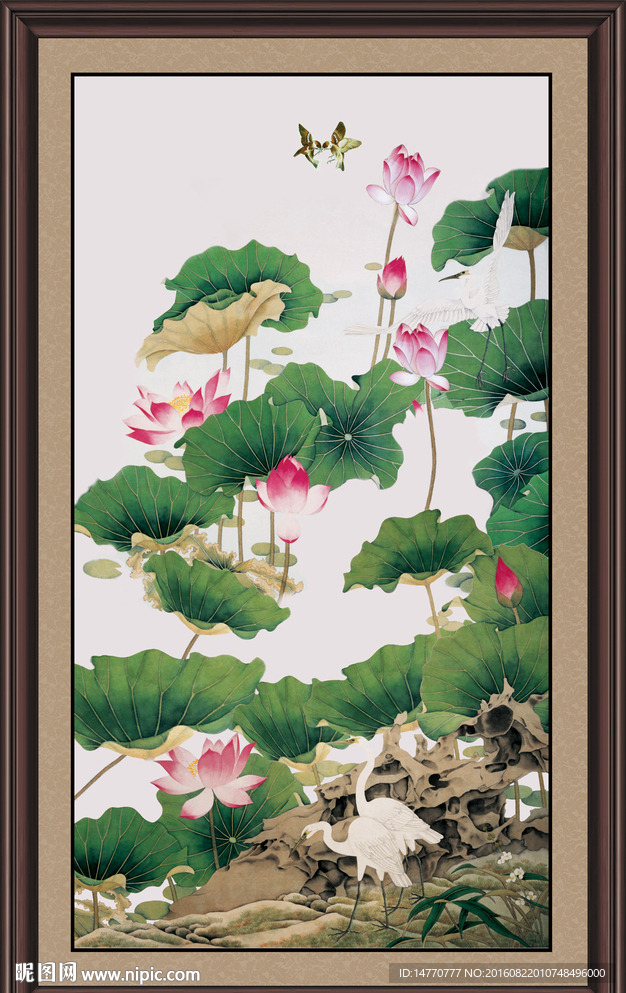 荷花图