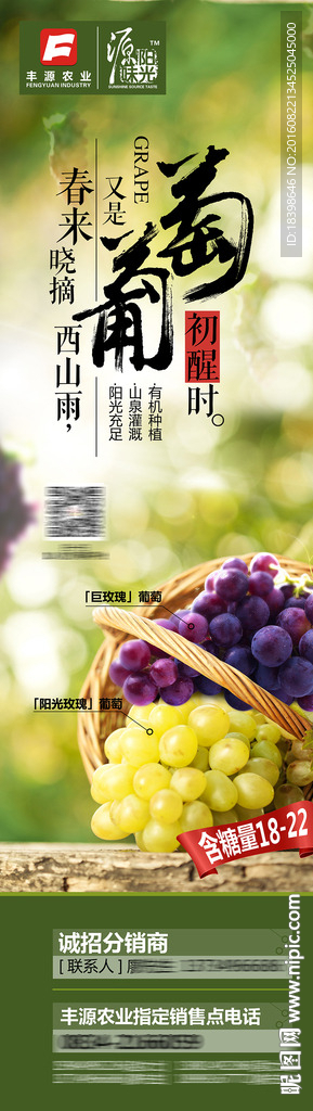 葡萄宣传海报