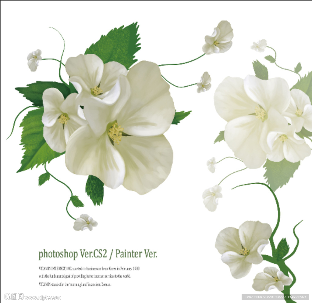 瓷砖花片