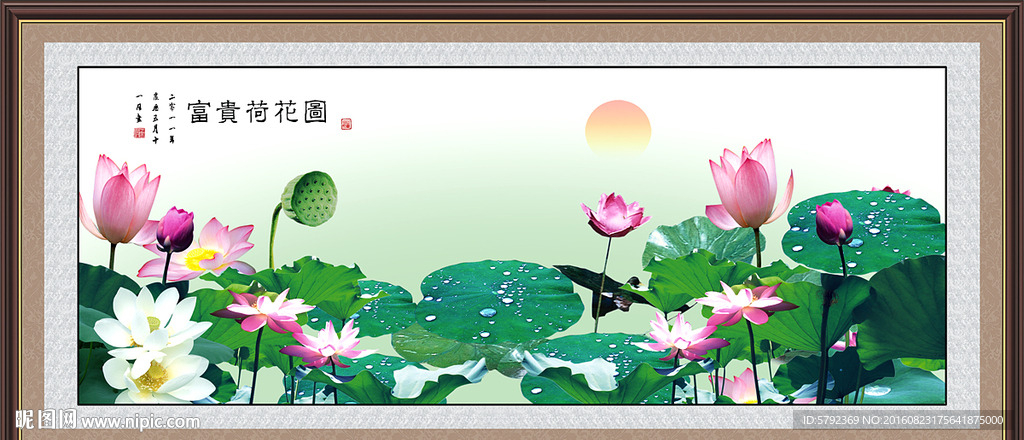 国画荷花