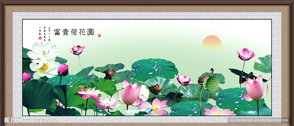 荷花图