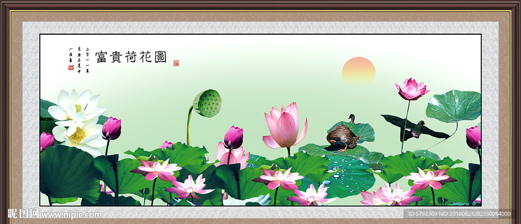 荷花