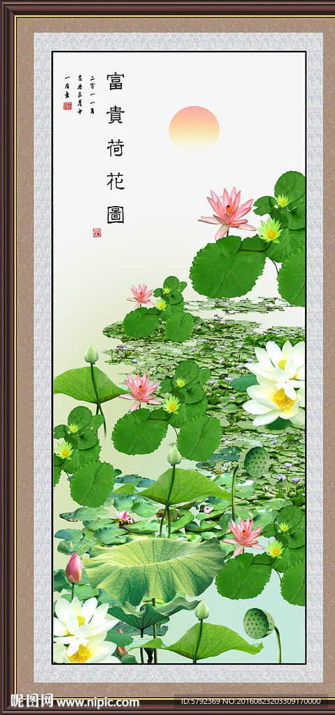 荷花