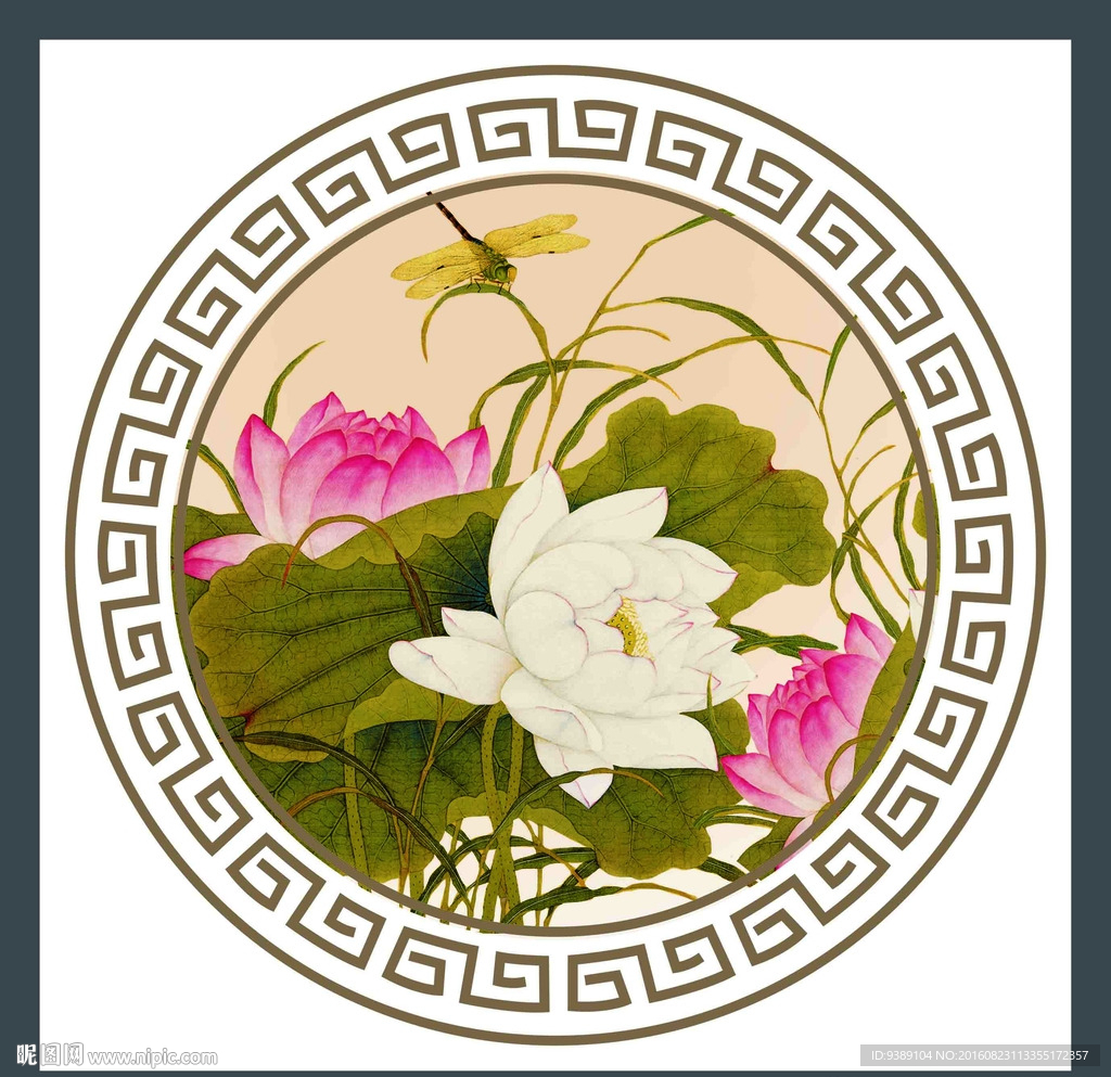 荷花