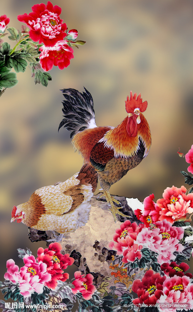 牡丹花