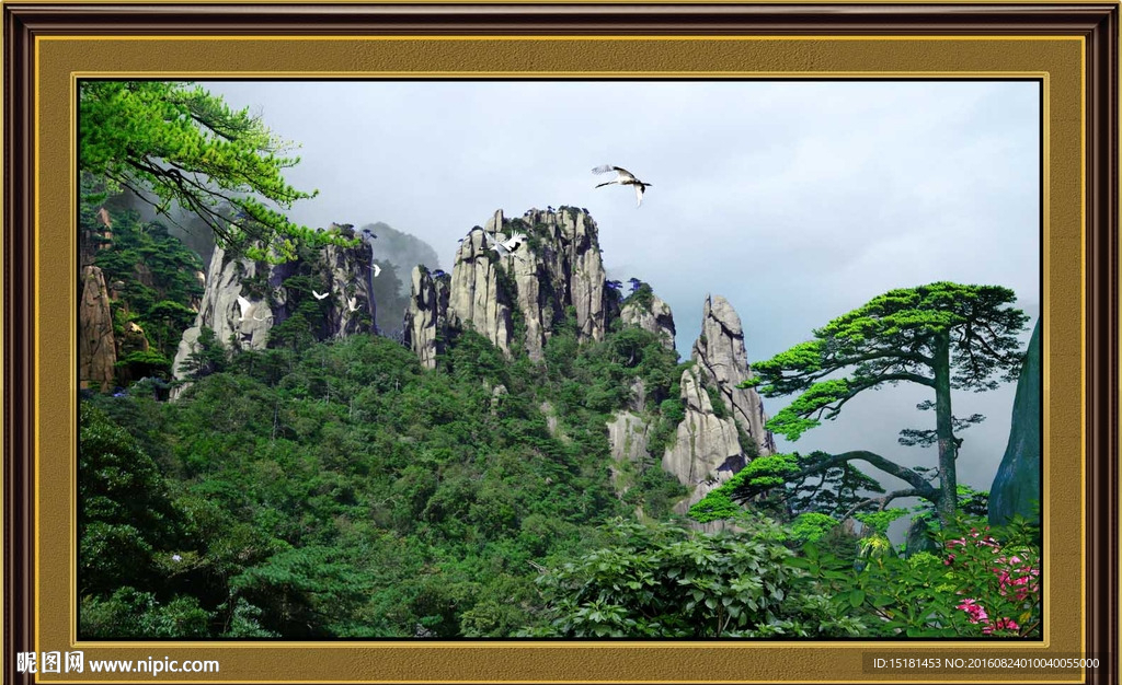 风景迎客松
