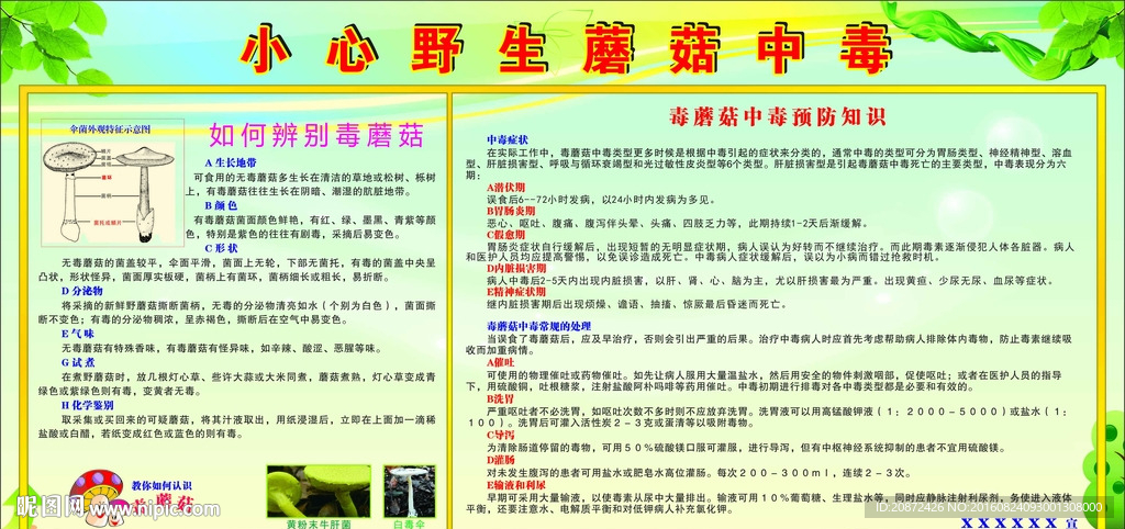 小心野生蘑菇中毒预防