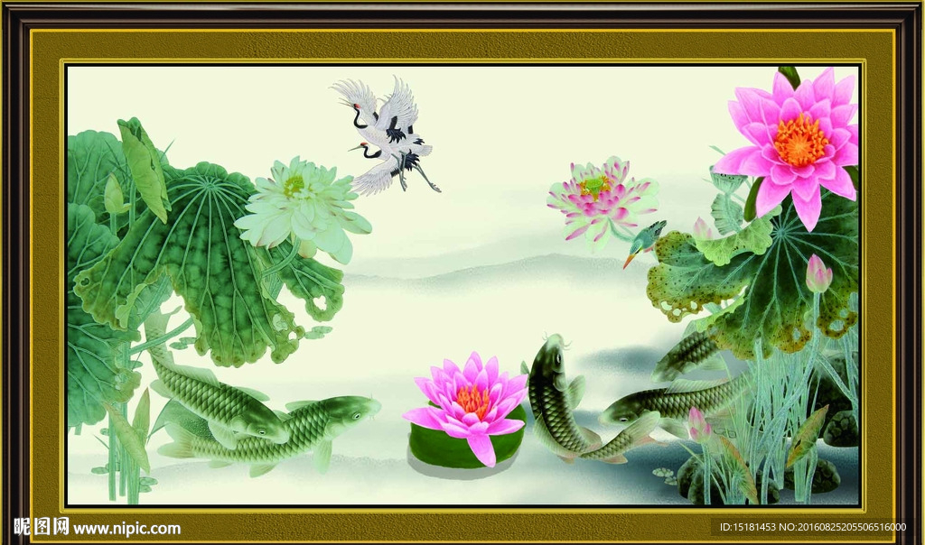 荷花鲤鱼